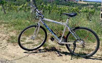 Phase two in Italy and how to move on