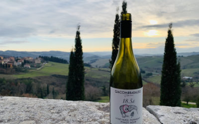 Pinot Noir wine from Vigneron Giacomo Baraldo