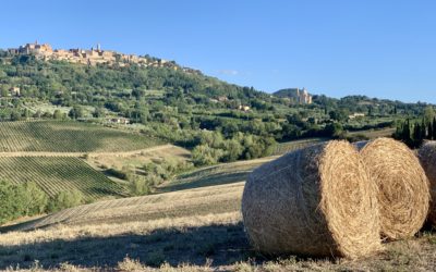 Hardloopparcours in Sinalunga