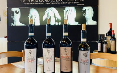 Een kijkje bij wijnhuis Secondo Marco in de Valpolicella Classico