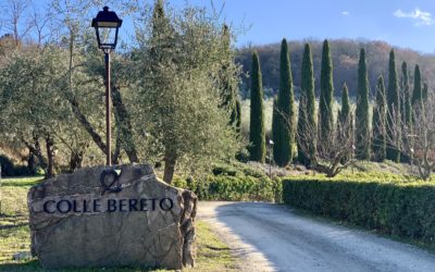 Colle Bereto in Radda in Chianti